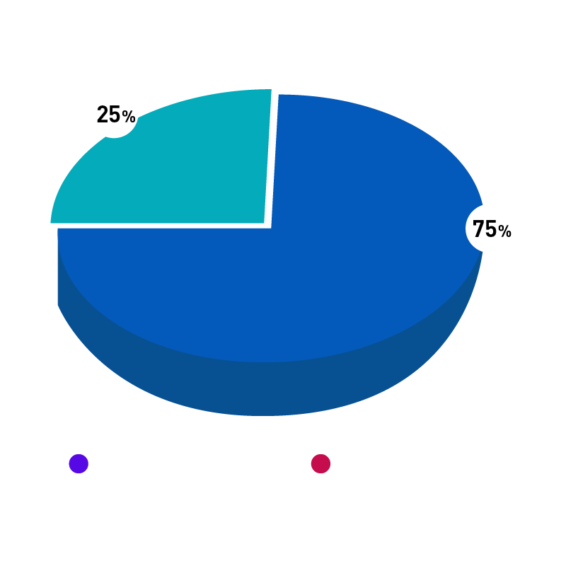 Lost Wax Casting(图85)