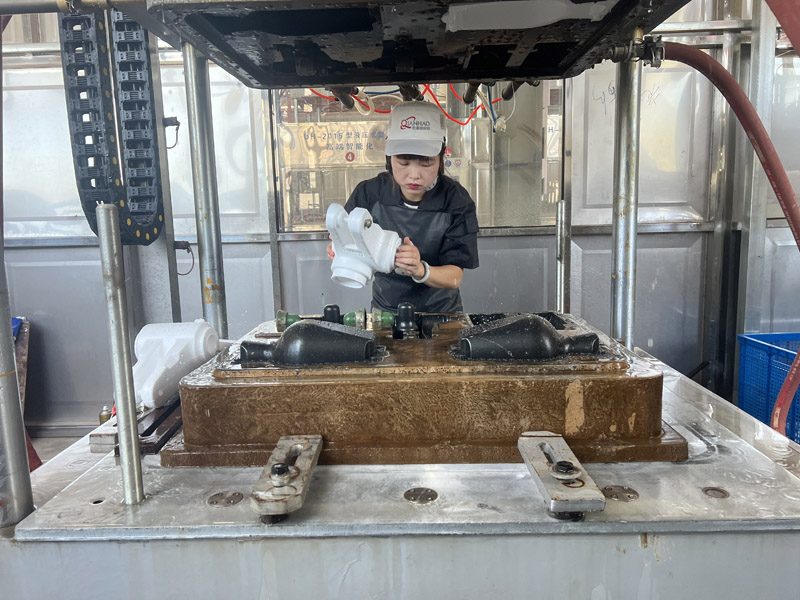 Lost Foam Casting(图8)